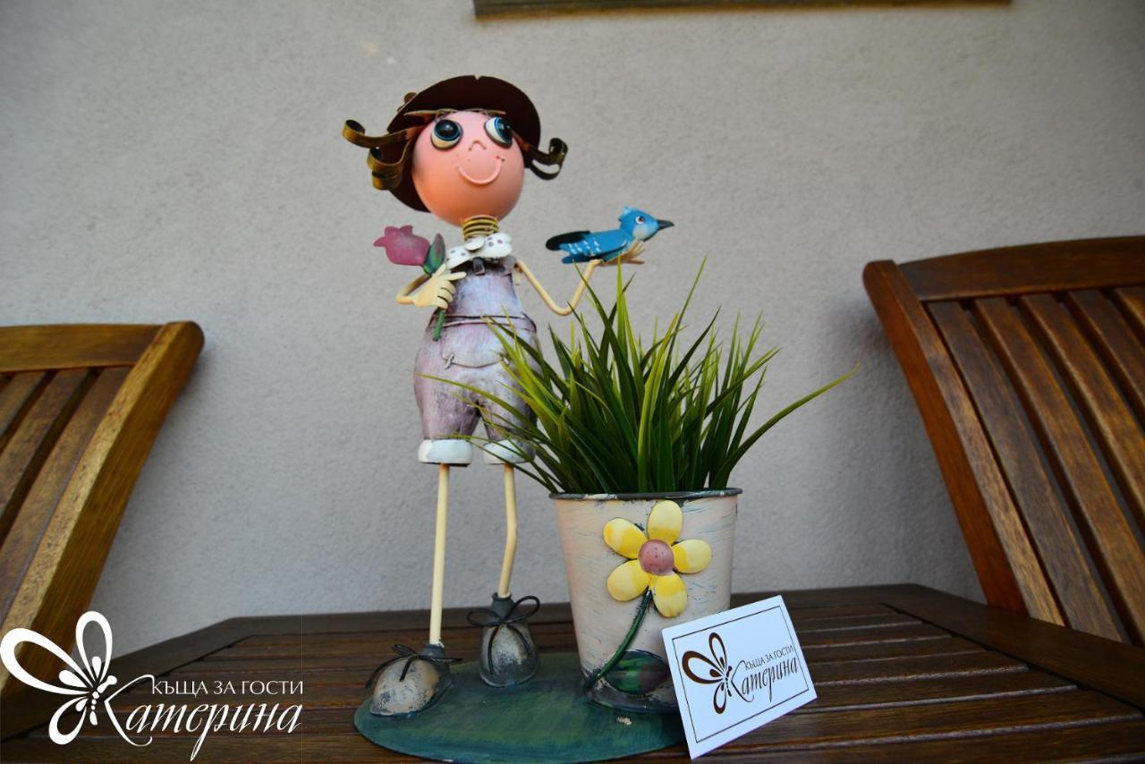 Katerina Guest House Kocherinovo Dış mekan fotoğraf