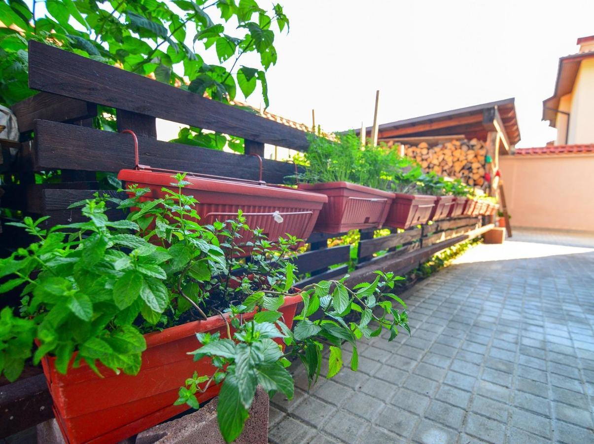 Katerina Guest House Kocherinovo Dış mekan fotoğraf