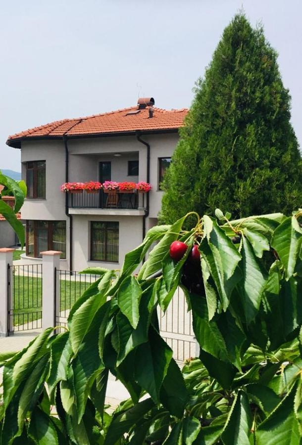 Katerina Guest House Kocherinovo Dış mekan fotoğraf