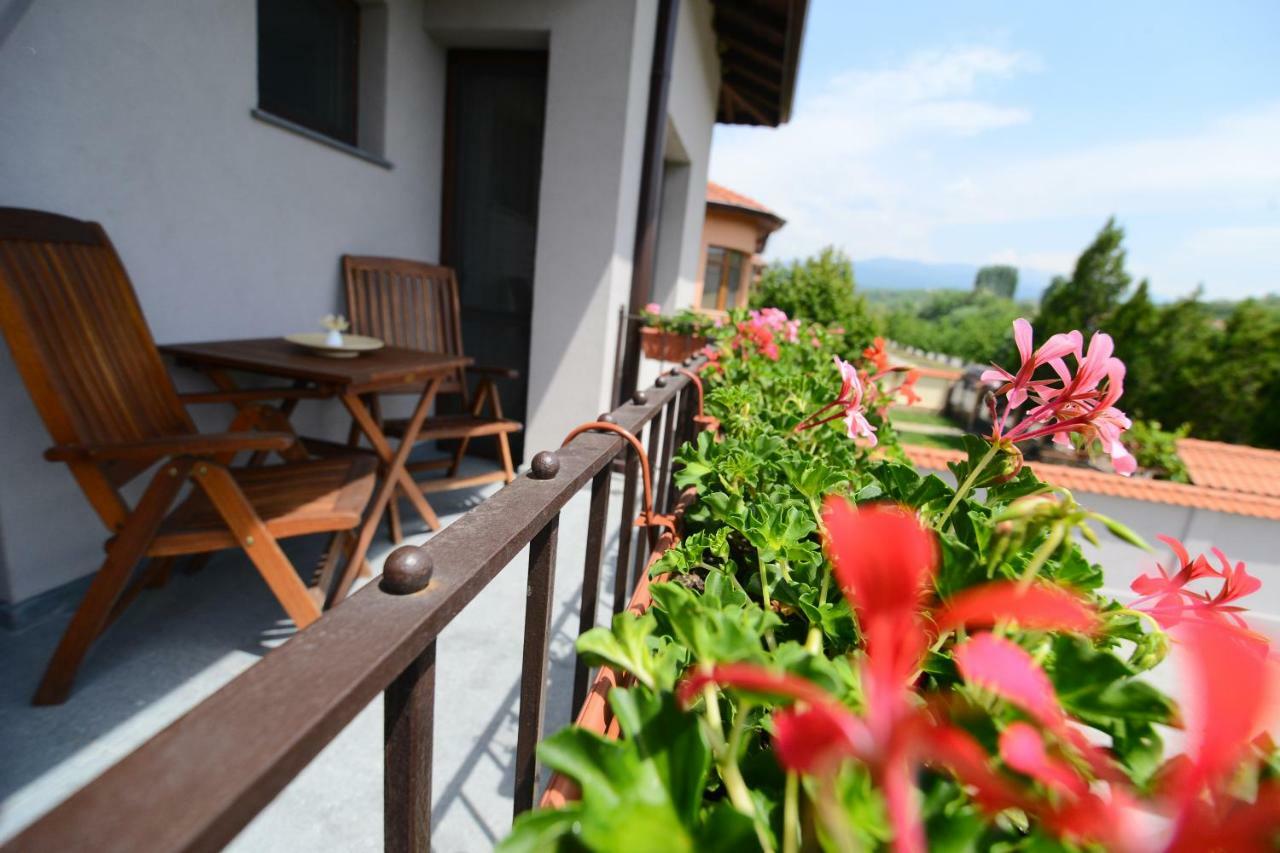 Katerina Guest House Kocherinovo Dış mekan fotoğraf